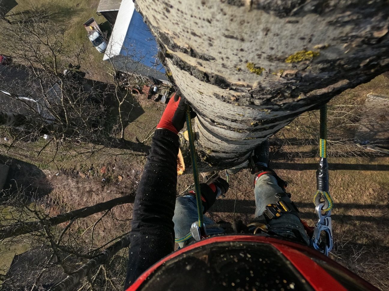 Wycinka drzew, przycinka, prace na wysokości. Arborysta. Rębak