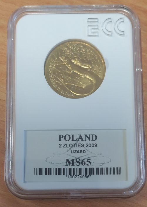 Jaszczurka zielona 2009 r. Grading MS 65 Polska