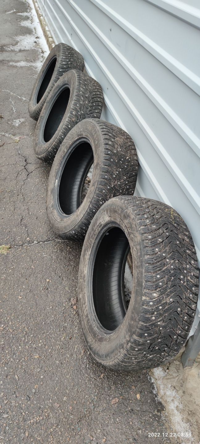 Nokian nordman 8