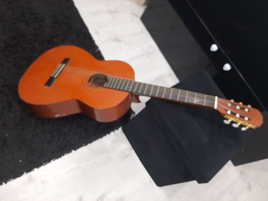 Viola Admira Sónia Espanhola