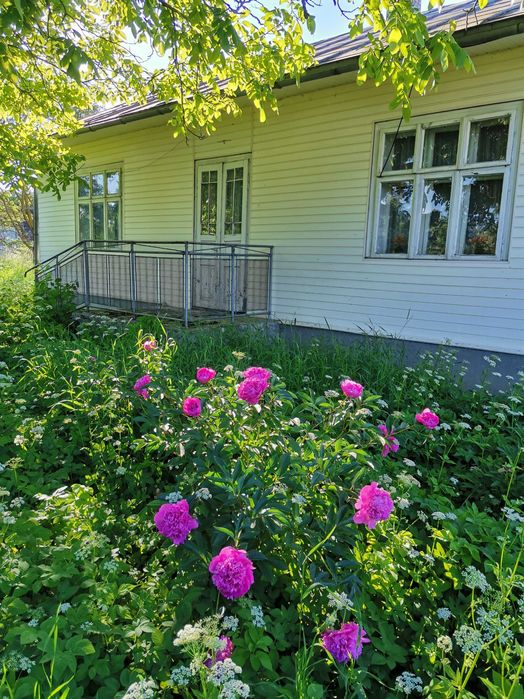 Продається будинок і земельна ділянка