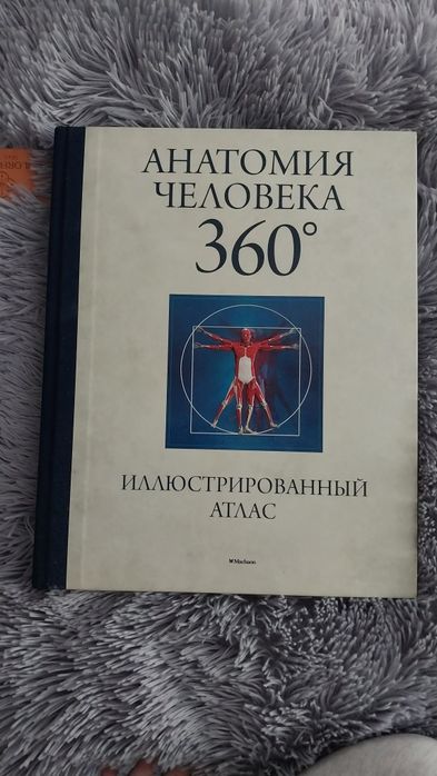 Анатомия человека 360⁰