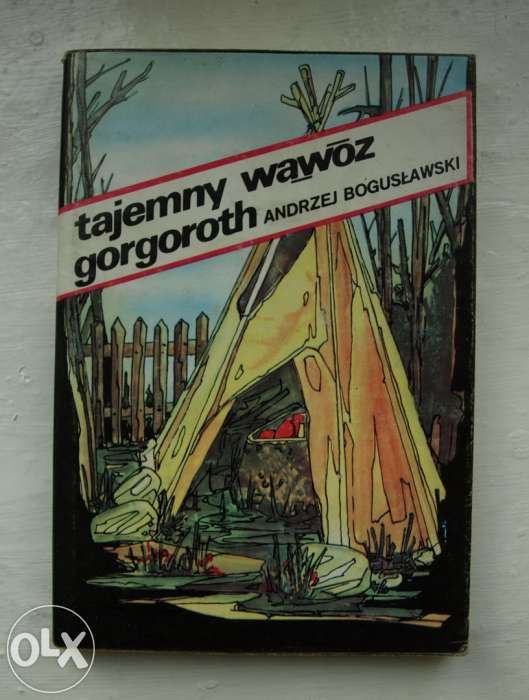 Tajemny wąwóz Gorgoroth - Andrzej Bogusławski