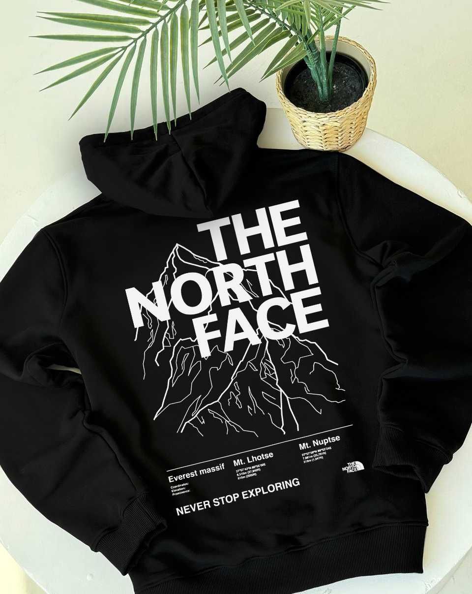 Худи The North Face WhiteBox ‣ Худі TNF ТНФ Big Logo • Квадрат базовый