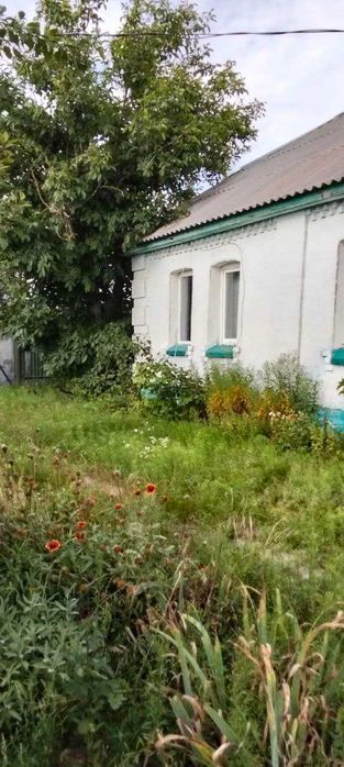 Продаж будинку в с.Феневичі Вишгородський р-н.
