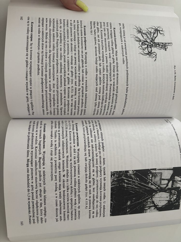 „Botanika” tom 1 i 2 Szweykowska