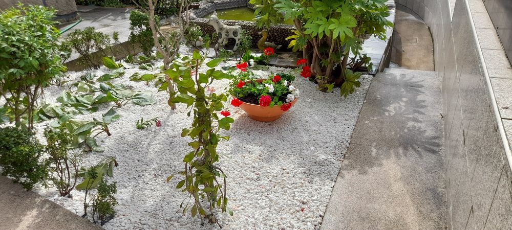 Jardineiro construção e manutenção de jardins