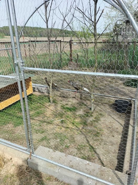 Domek letniskowy- wynajem