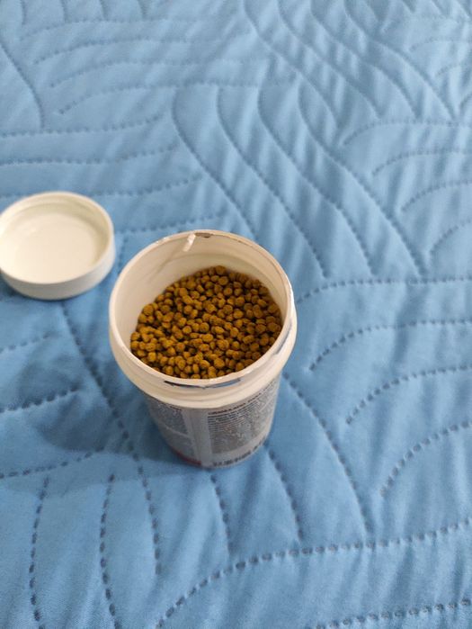 Vários tipos de comida kinguio