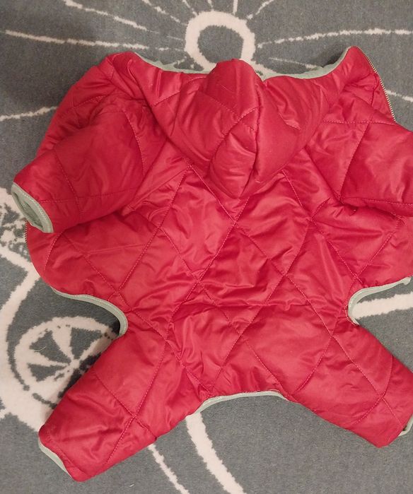 Одежда для маленьких собак