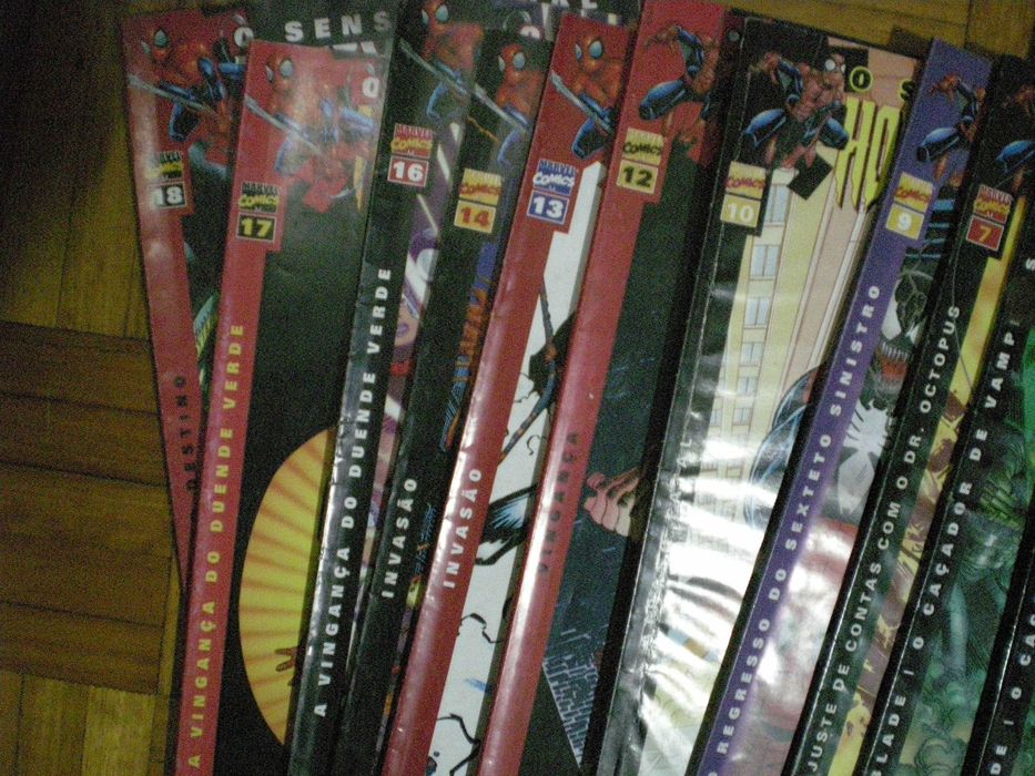 O Sensacional Homem-Aranha VINTAGE 2002
