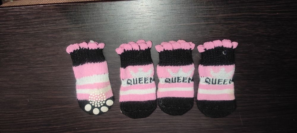 Шкарпетки для собак