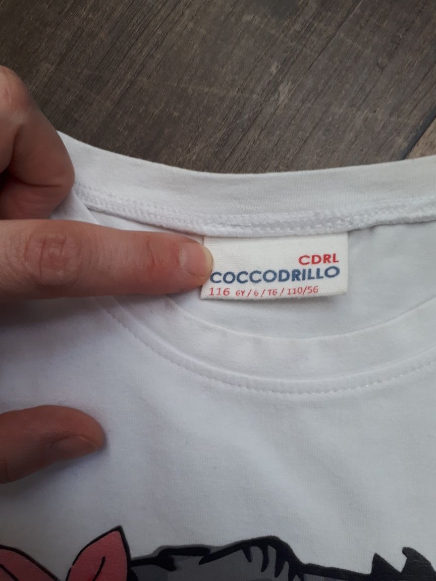 Koszulka dziewczęca crocodrillo r 116