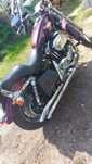 Motocykl harley davidson xl custom 1200