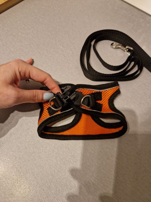 Nowe pomarańczowo-czarne - Szelki, uprząż, smycz dla kota, psa, roz. S