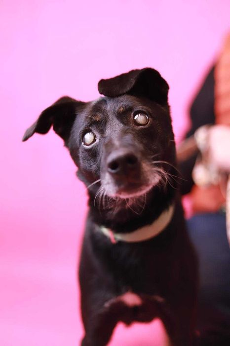 jesteś jego ostatnią szansą!