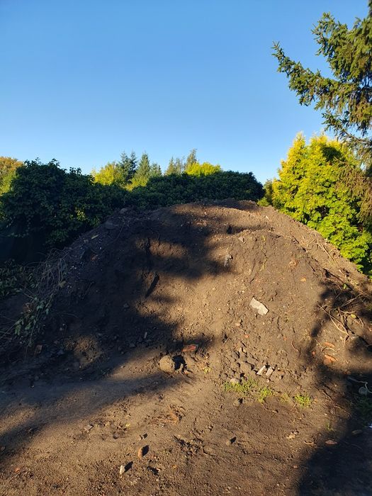 Oddam ziemię za darmo