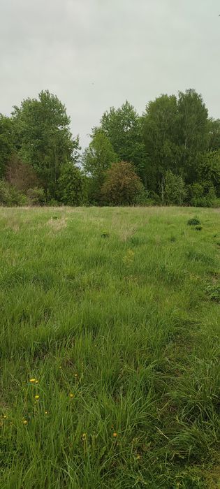 Будинок в Іванівській Слободі.20км від міста