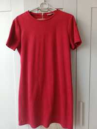 Zara Trafaluc Sukienka  M/L