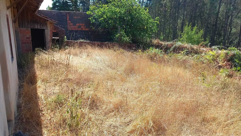 Casa de Campo para recuperar