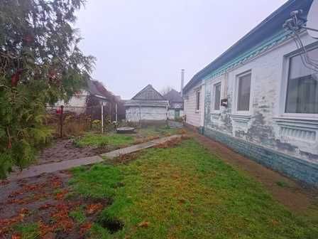 Будинок Золотоноша