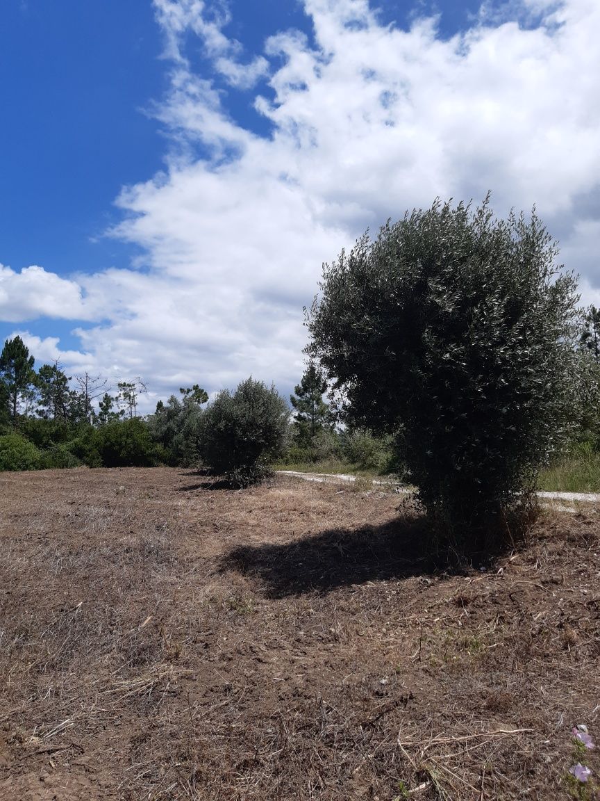 Terreno para Construção