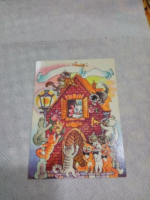 Открытка поздравление "Кошечки",1989,художника Г. Бойко