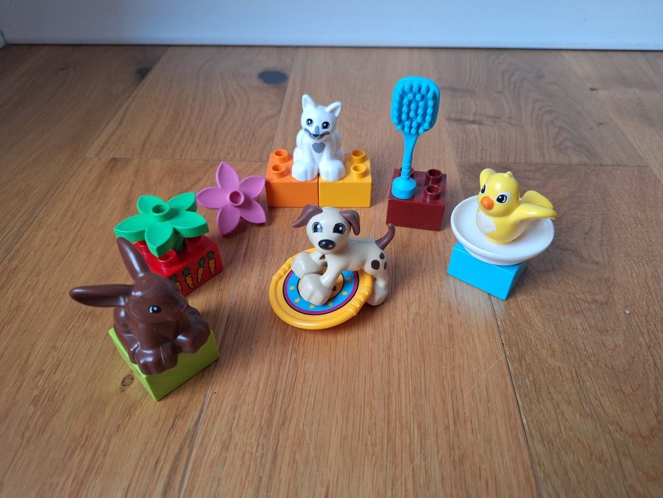 LEGO Duplo Zwierzątka domowe 10838 Zwierzęta domowe