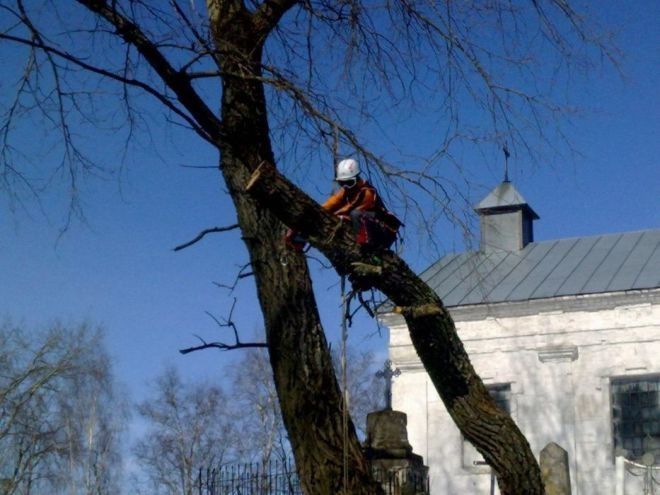 Спил деревьев  за дрова ,уборка участков,корчевание пней, покос травы,