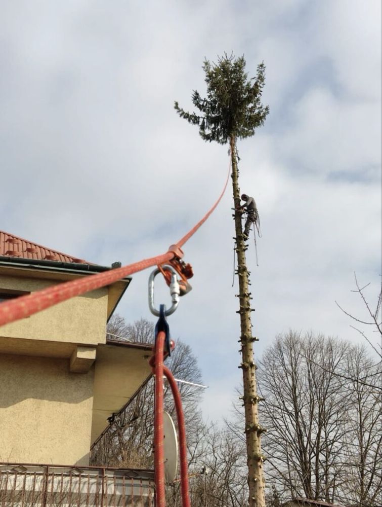 Wycinka drzew, karczowanie działek, koszenie, trudne zlecenia i inne