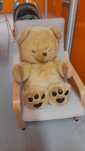 Peluche Urso e leão