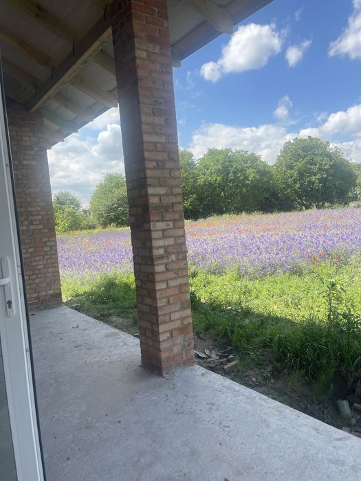 Городище американка