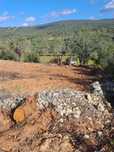 Terreno rustico bem localizado