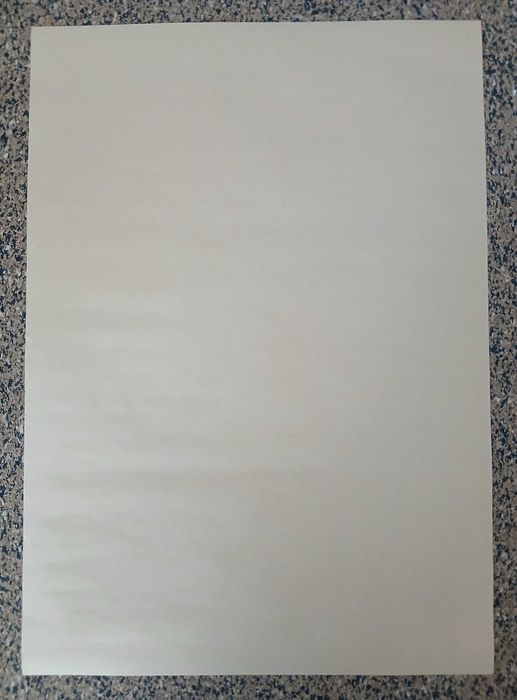 Poster - Edward Scissorhands (papel kraft,  30x42 cm)