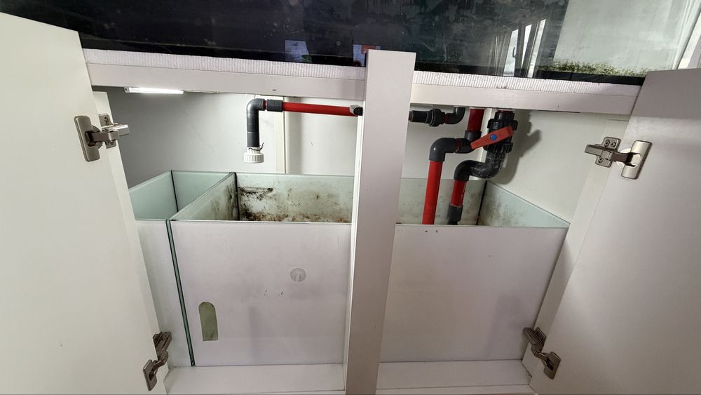 Aquario 150x50x50 com Armario e Sump