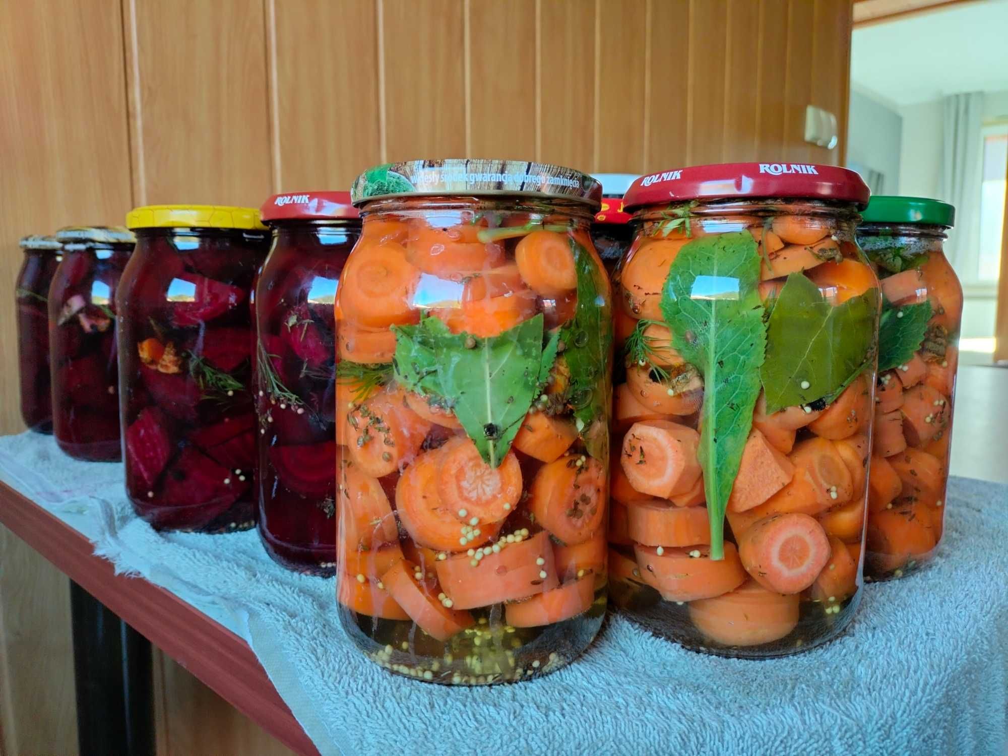 Kiszone rzodkiewki,buraki,marchewki,cebule