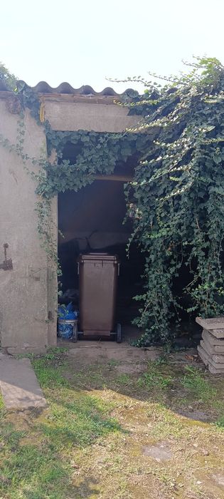 Gruz-cegła za darmo