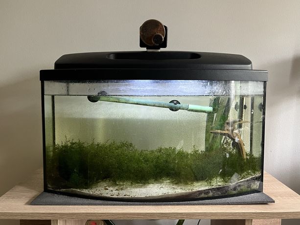 Akwarium z filtrem zewnetrznym grzalka pokrywa z oswietleniem karmnik