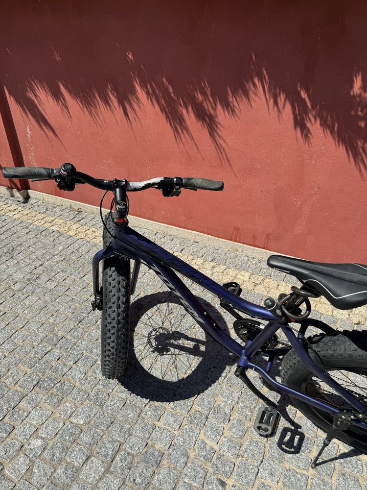 Bicicleta roda larga marca Totem