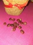 Magnolia nasiona mix odmian