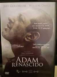 ADAM Renascido - Dvd