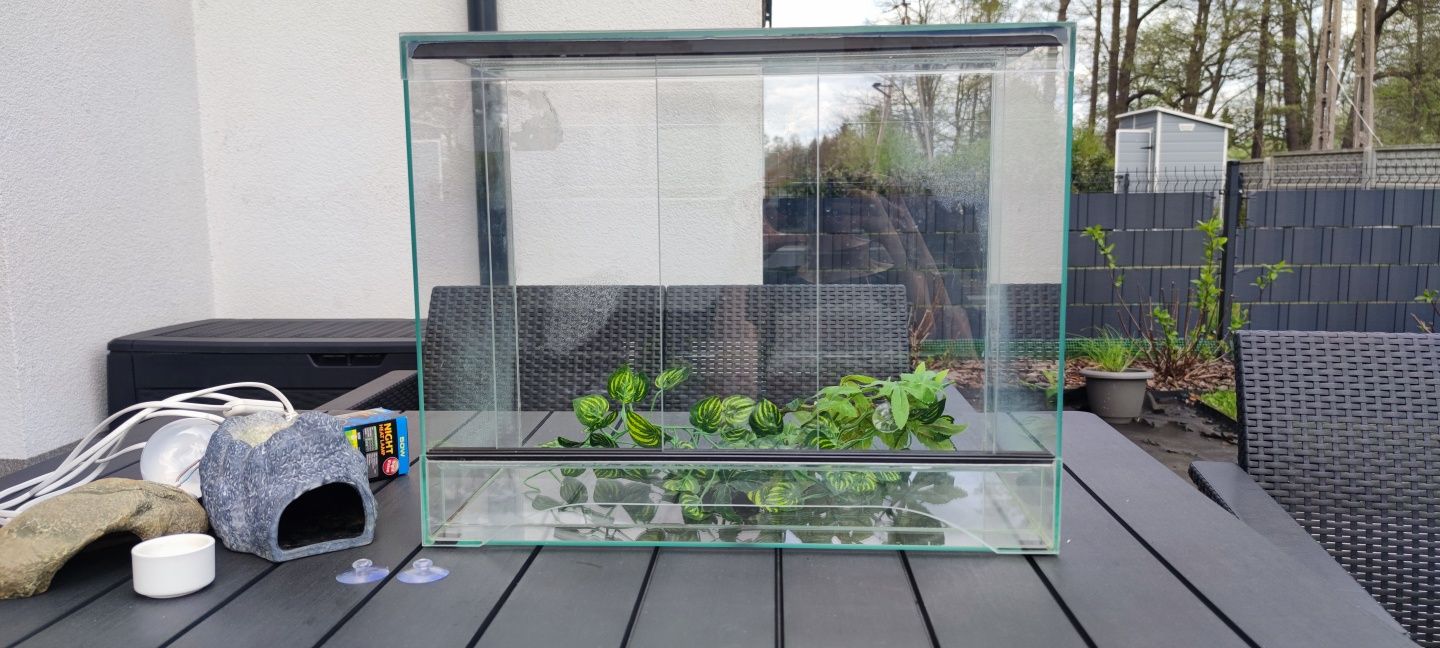 Szklane terrarium dla gekona 50x30x40