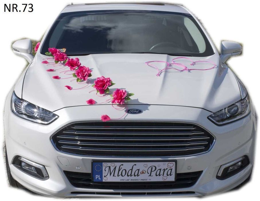 Malinowa dekoracja samochodu dekoracja na samochód Nr. 073