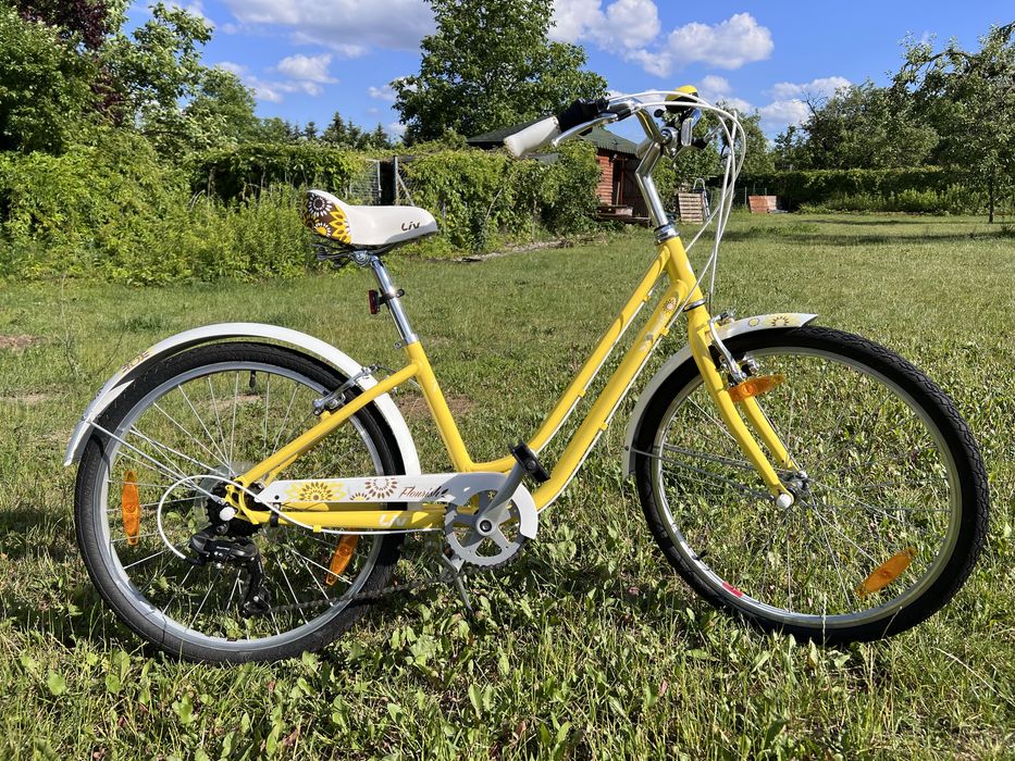 Rower giant liv flourish 24