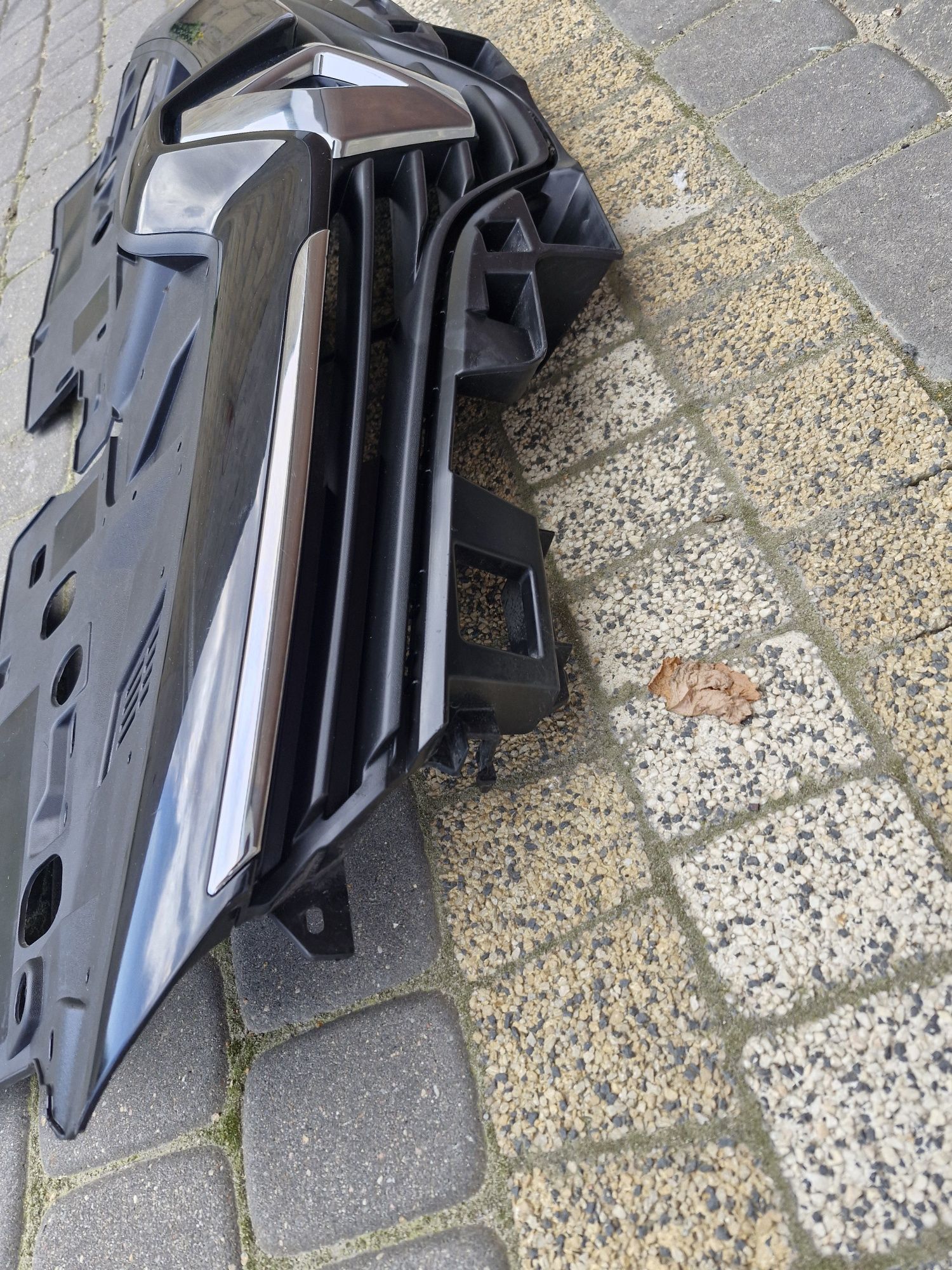 Grill Atrapa clio 4