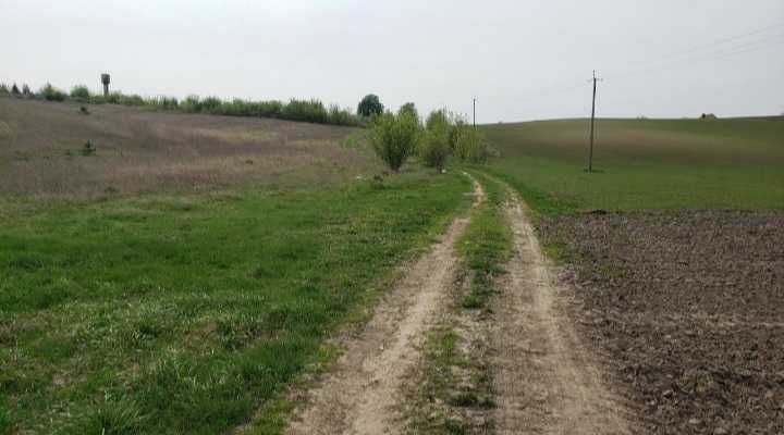 Земельна ділянка