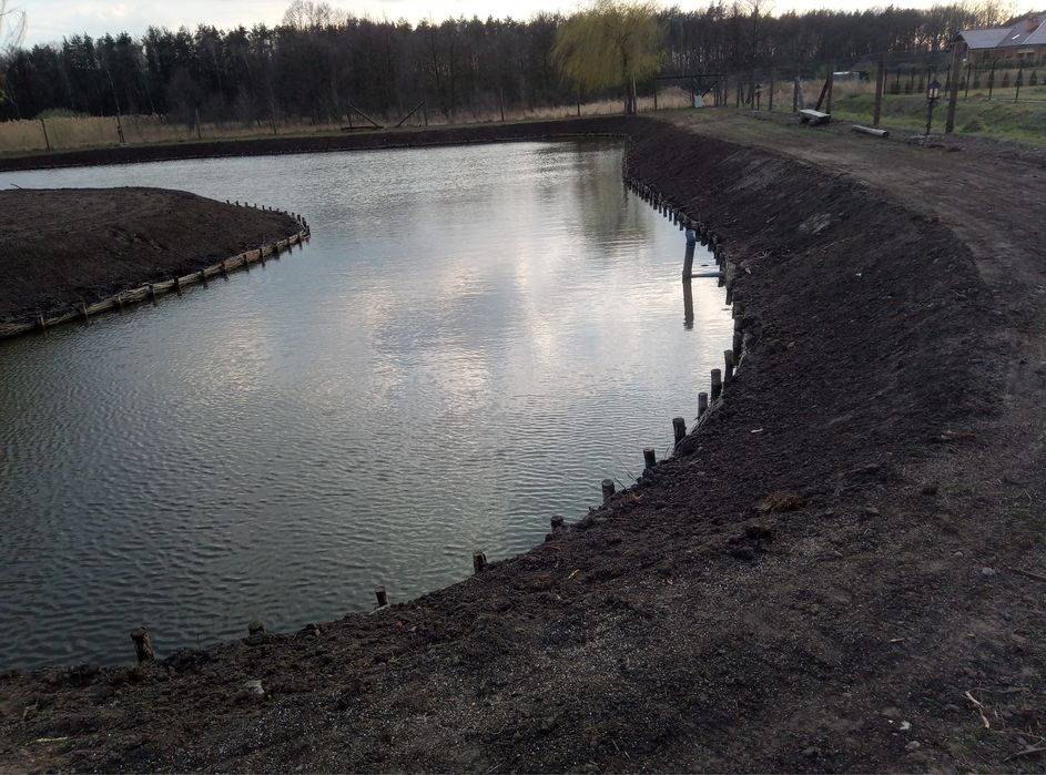 Faszynowanie stawów, umacnianie brzegu