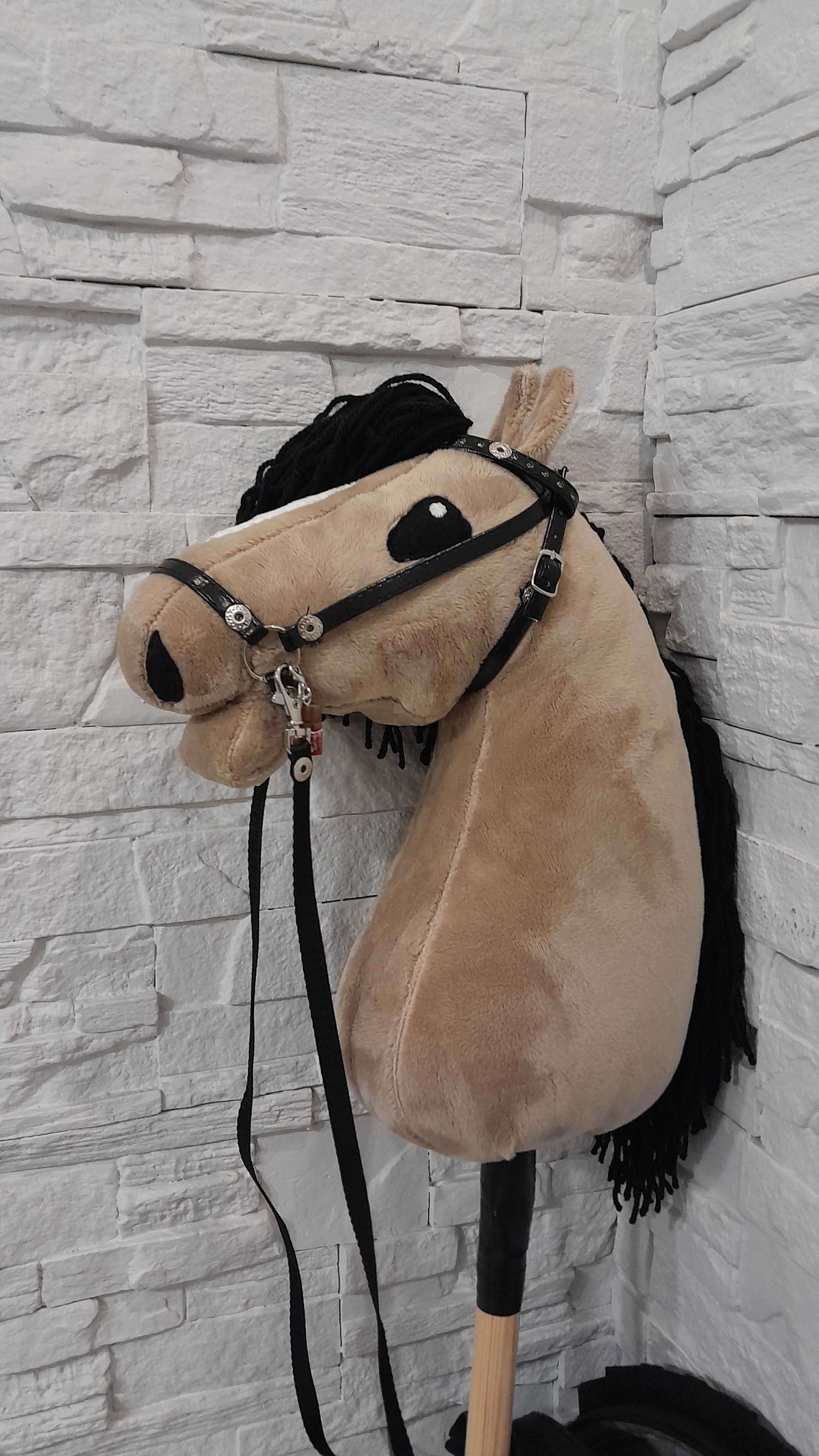 Hobby horse konik