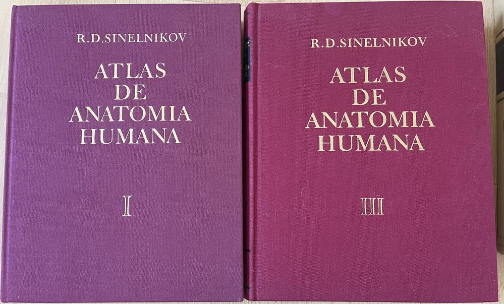 Atlas anatomii Sinelnikov