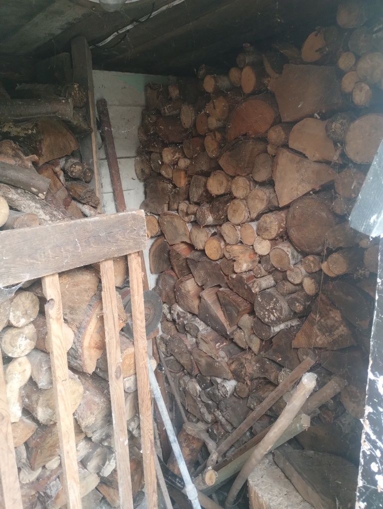 drewno sezonowane